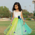 Rainbow Net Frock