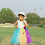 Multi Color Net Frock