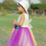 Multi Color Net Frock