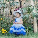 Ice & Snow Frock Princess Dress