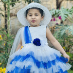 Ice & Snow Frock Princess Dress